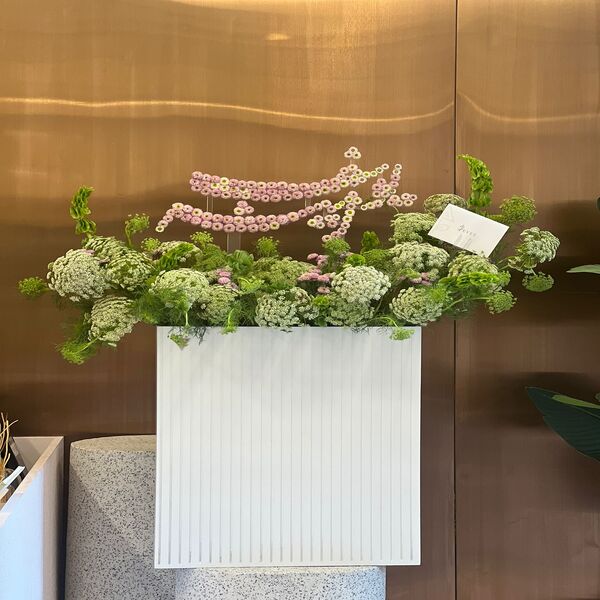 aa1c5625_WhatsApp Image 2026-02-10 at 10.35.04 AM.jpeg